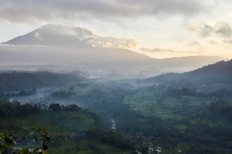 Photo by Martin Westlake Published in 2022 by Hardie Grant Books