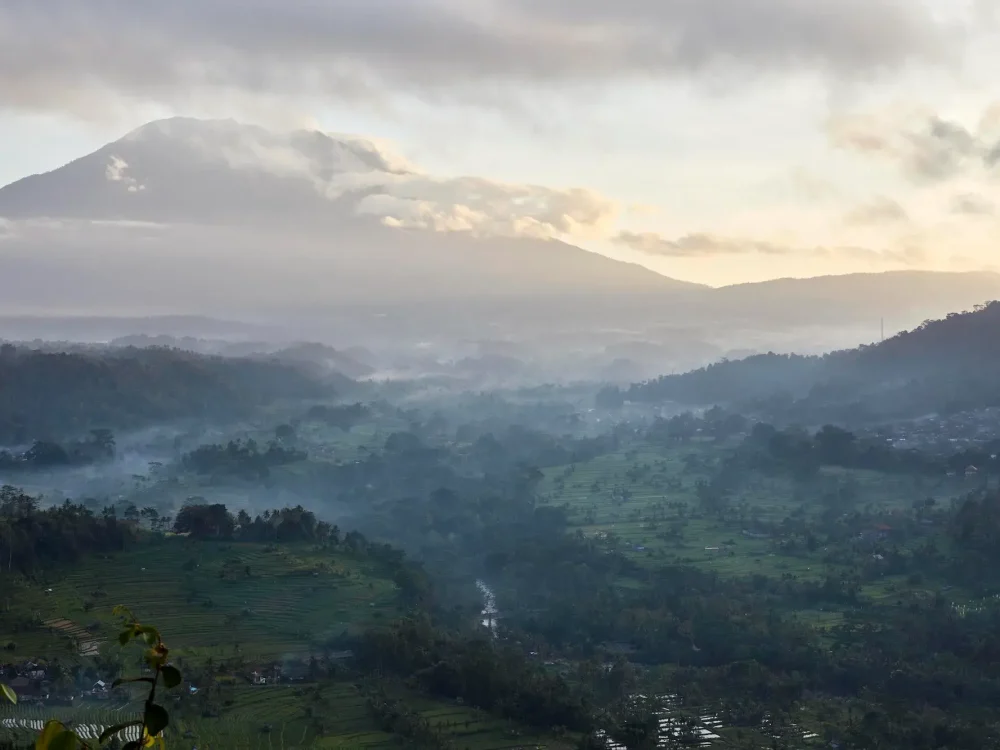 Photo by Martin Westlake Published in 2022 by Hardie Grant Books